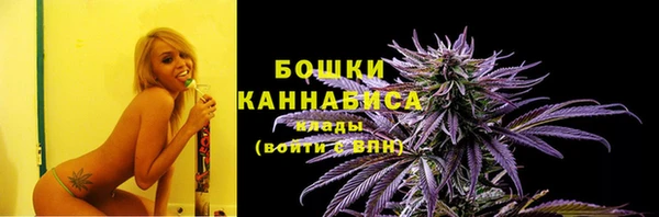 стаф Михайловск
