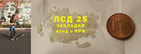 стаф Михайловск