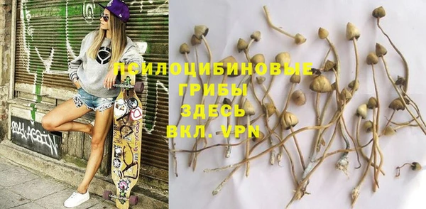 тгк Михайлов