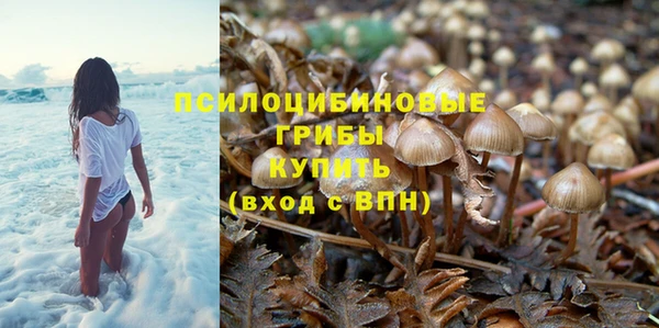 наркотики Михайловка