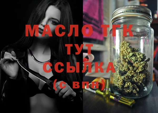 тгк Михайлов