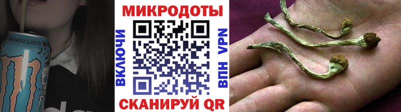 MEGA   Нижнекамск  Галлюциногенные грибы Psilocybe 